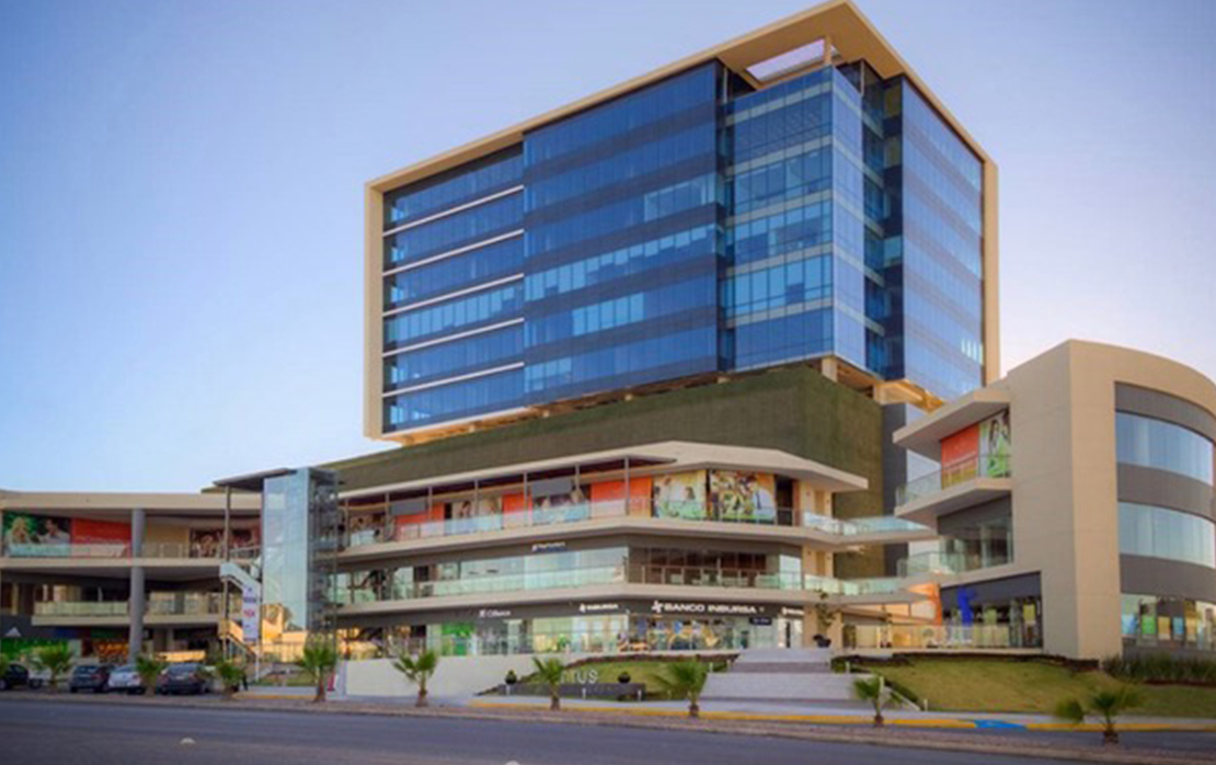 ActionCoach San Luis Potosí