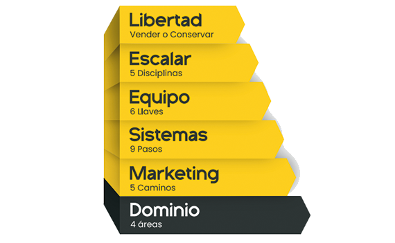 Paso 1 - DOMINIO
